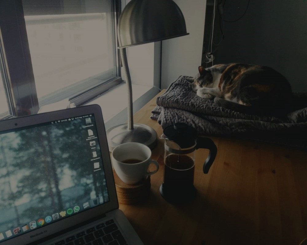 Cat sleeping near coffee mugs